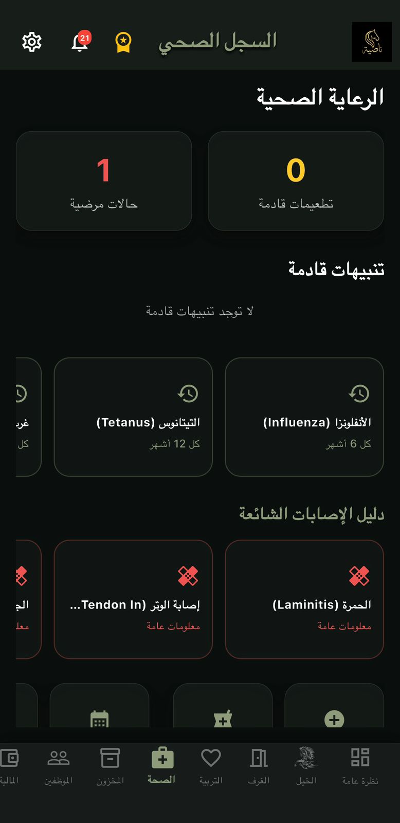 شاشة