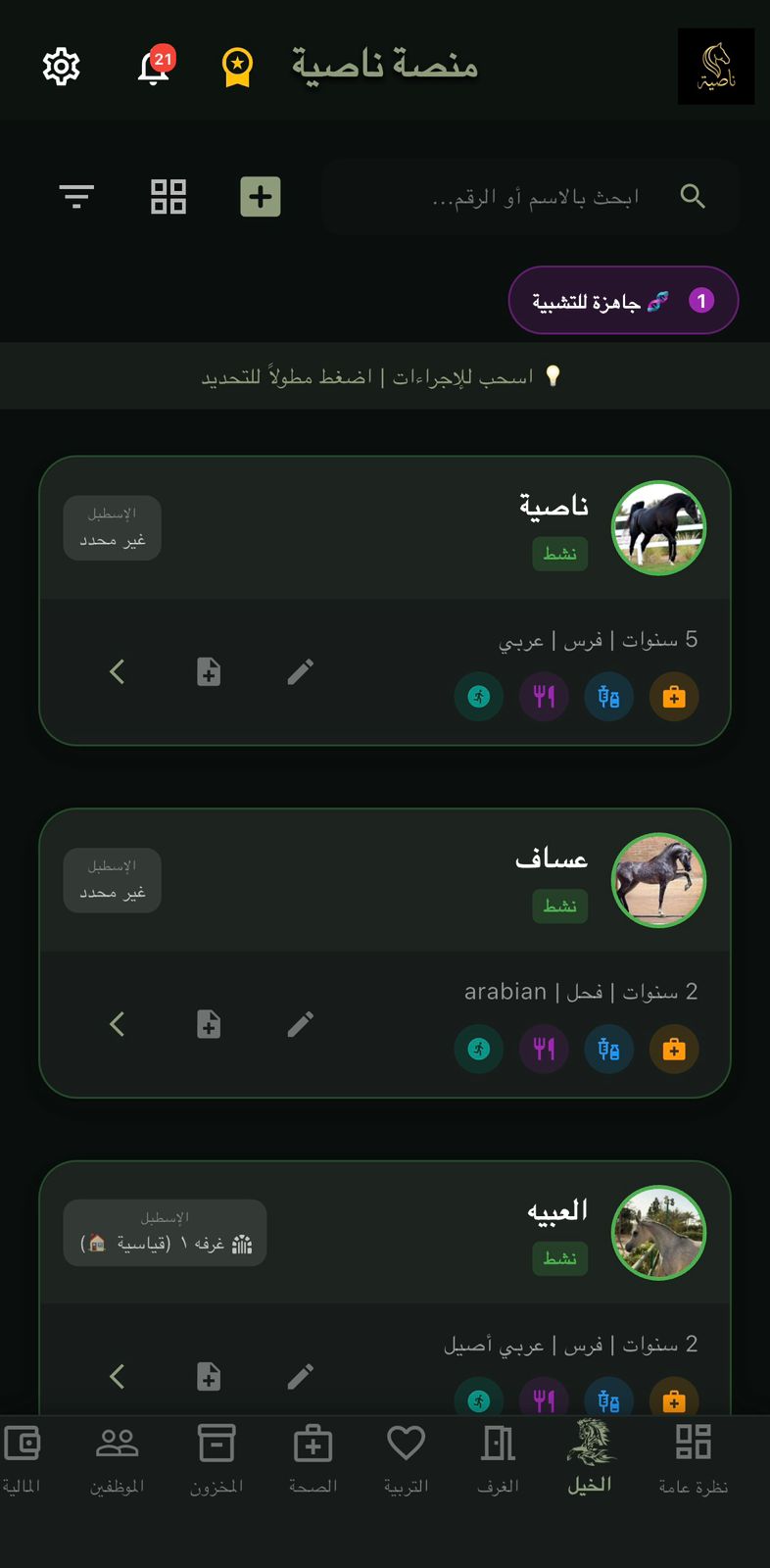 شاشة